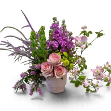 Daydreamer – Pastel Arrangement