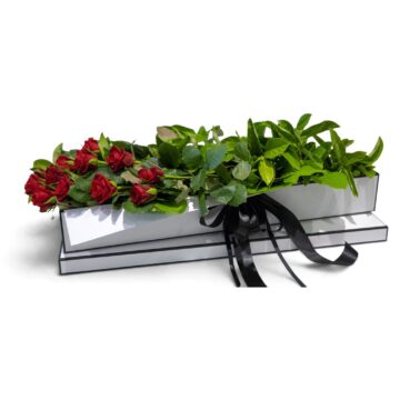 Crush – Rose Presentation Box