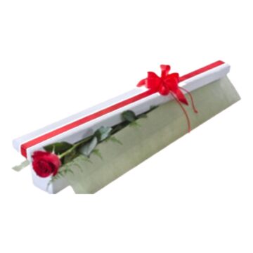 Only You – Single Rose Gift Box